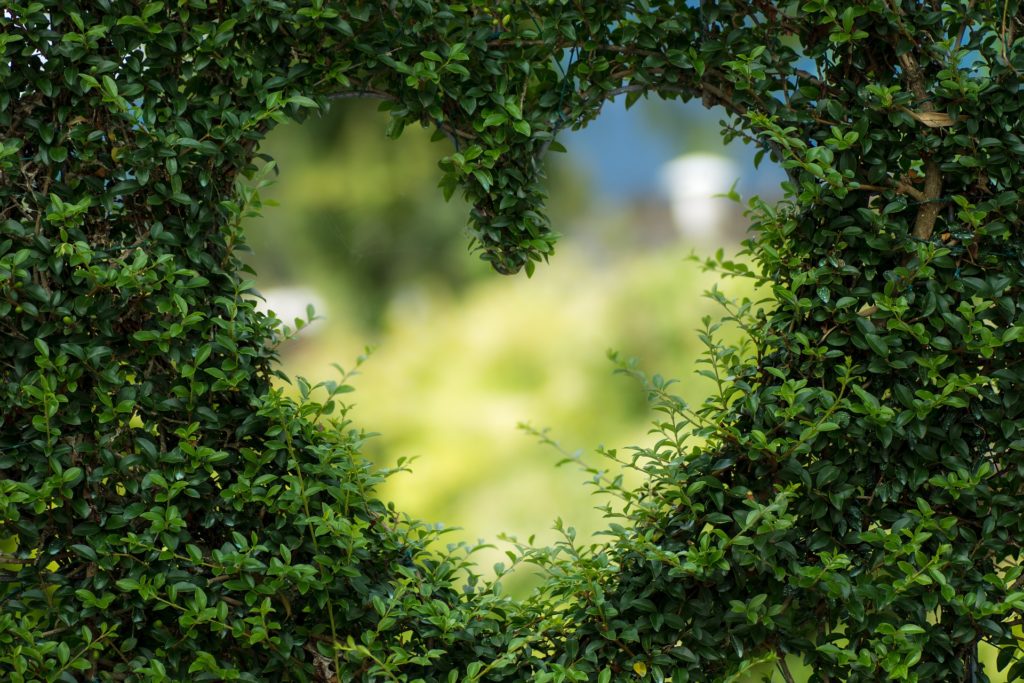 Picture of a love heart